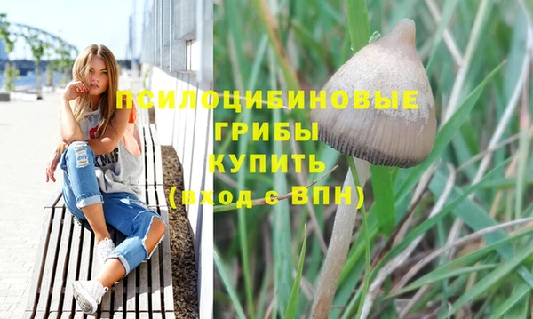 МДПВ Великий Новгород